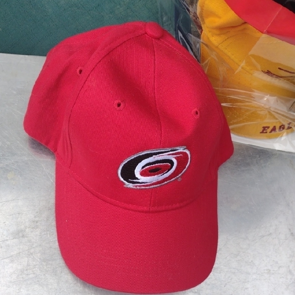 Carolina Hurricanes NHL Red Baseball Cap with Embroidered Logo NWOT (Youth)